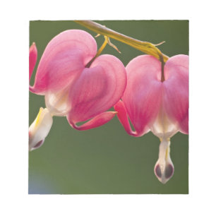 Verenigde Staten, Pennsylvania. Sluiting van twee Notitieblok