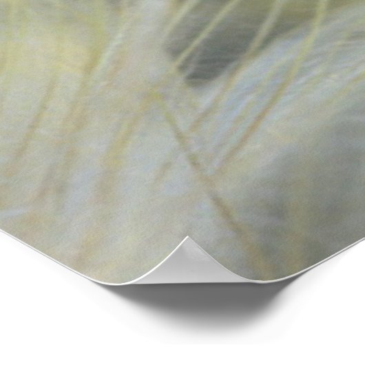 Verenigde Staten, Pennsylvania. Sluitseedhead van  Poster (Hoek)