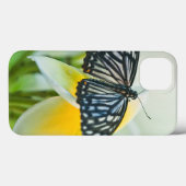 Verenigde Staten, Pennsylvania. Zwemstaartvlinder Case-Mate iPhone Case (Achterkant (horizontaal))