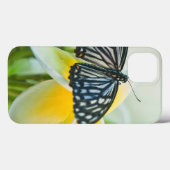 Verenigde Staten, Pennsylvania. Zwemstaartvlinder Case-Mate iPhone Case (Achterkant (horizontaal))