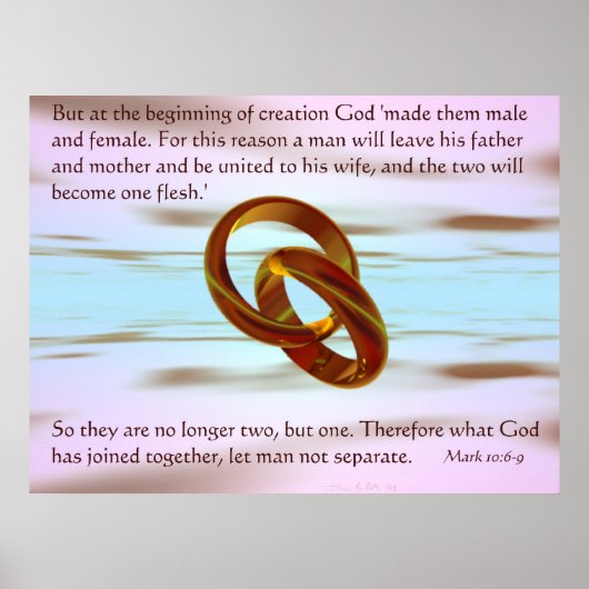 Verenigde Staten Poster (Voorkant)