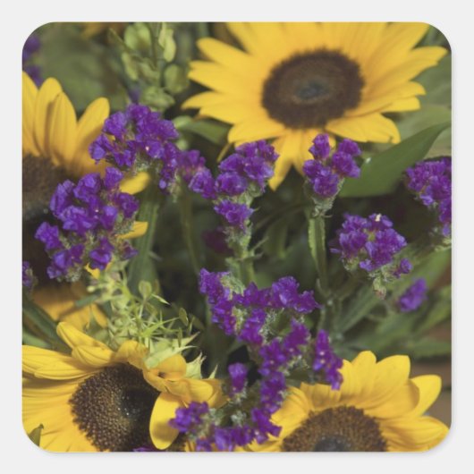 Verenigde Staten, sluiting van de buikbloem, Vierkante Sticker (Voorkant)