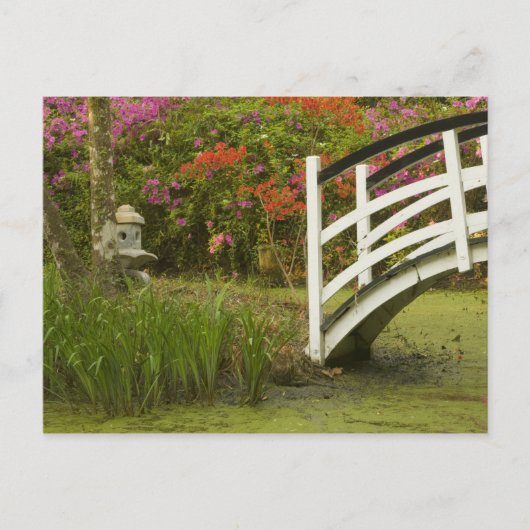 Verenigde Staten; South Carolina Charleston2 Briefkaart (Voorkant)