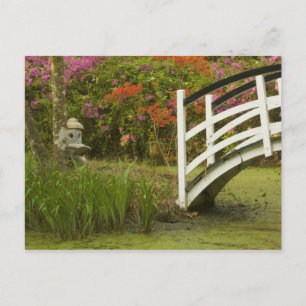 Verenigde Staten; South Carolina Charleston2 Briefkaart