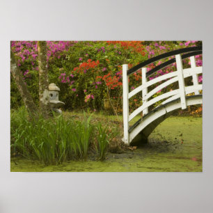 Verenigde Staten; South Carolina; Charleston; 2 Poster