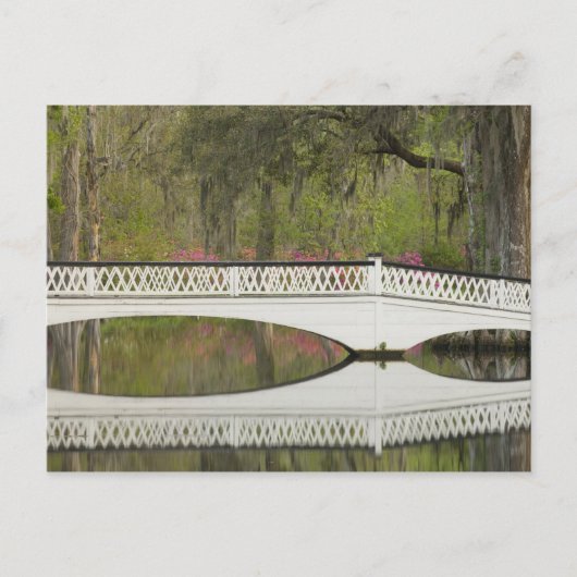 Verenigde Staten; South Carolina; Charleston; 3 Briefkaart (Voorkant)