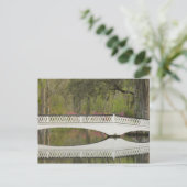 Verenigde Staten; South Carolina; Charleston; 3 Briefkaart (Staand voorkant)