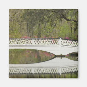 Verenigde Staten; South Carolina; Charleston; 3 Magneet
