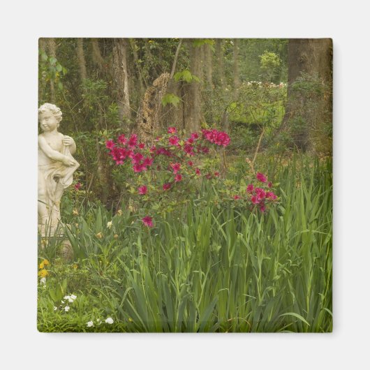 Verenigde Staten; South Carolina; Charleston; 4 Magneet (Voorkant)