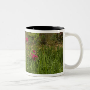 Verenigde Staten; South Carolina; Charleston; 4 Tweekleurige Koffiemok