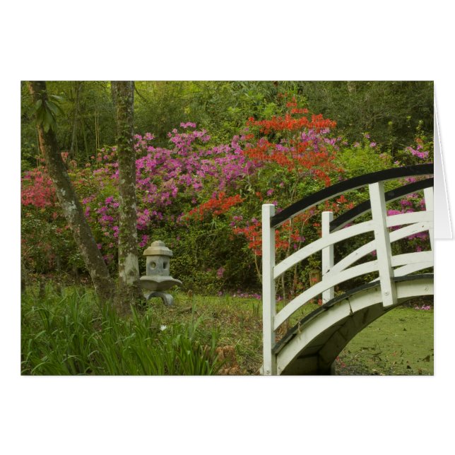 Verenigde Staten; South Carolina; Charleston 5 (Voorkant Horizontaal)