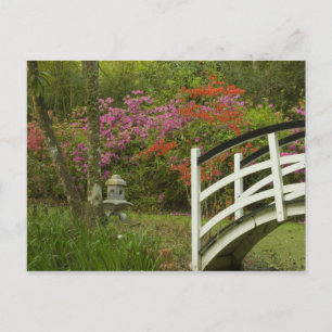 Verenigde Staten; South Carolina; Charleston; 5 Briefkaart