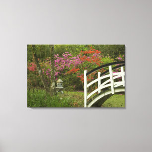 Verenigde Staten; South Carolina; Charleston; 5 Canvas Afdruk