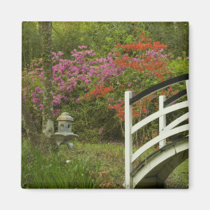 Verenigde Staten; South Carolina; Charleston; 5 Magneet