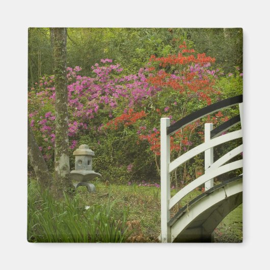 Verenigde Staten; South Carolina; Charleston; 5 Magneet (Voorkant)