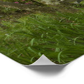 Verenigde Staten; South Carolina; Charleston; 5 Poster (Hoek)