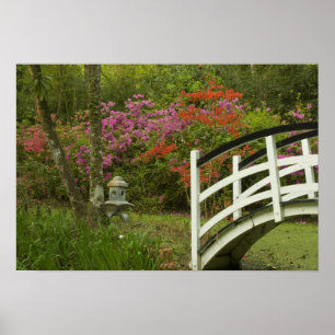 Verenigde Staten; South Carolina; Charleston; 5 Poster