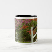 Verenigde Staten; South Carolina; Charleston 5 Tweekleurige Koffiemok (Center)