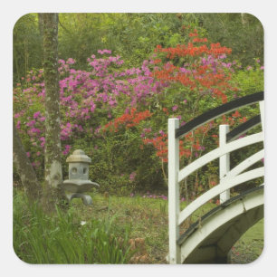 Verenigde Staten; South Carolina; Charleston; 5 Vierkante Sticker