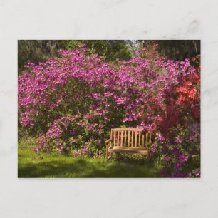 Verenigde Staten; South Carolina; Charleston; Briefkaart