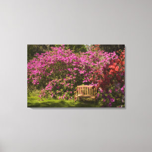 Verenigde Staten; South Carolina; Charleston; Canvas Afdruk