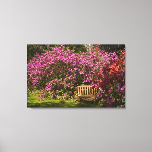 Verenigde Staten; South Carolina; Charleston; Canvas Afdruk (Voorkant)