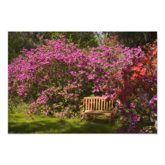 Verenigde Staten; South Carolina; Charleston; Foto Afdruk (Voorkant)