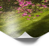 Verenigde Staten; South Carolina; Charleston; Foto Afdruk (Hoek)