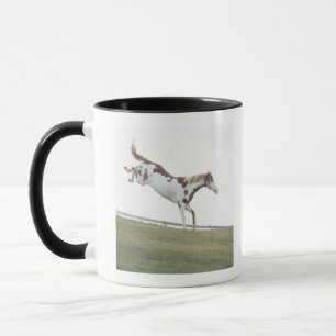 Verenigde Staten, staat New York, Hudson, paarden Mok