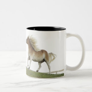 Verenigde Staten, staat New York, Hudson, paarden Tweekleurige Koffiemok