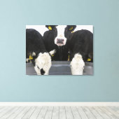 Verenigde Staten, staat New York, Koeien drink van Canvas Afdruk (Insitu (Houten vloer))