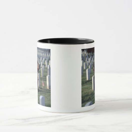 Verenigde Staten, staat Virginia, Arlington. Mok (Midden)