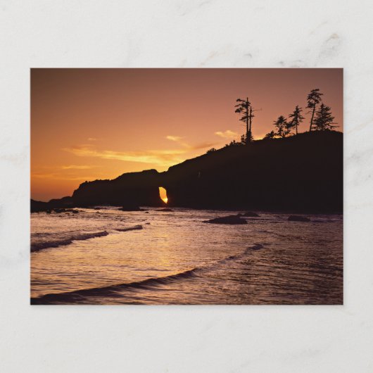 Verenigde Staten, staat Washington, Nationaal Park Briefkaart (Voorkant)