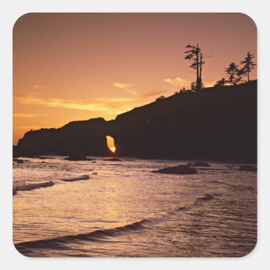 Verenigde Staten, staat Washington, Nationaal Park Vierkante Sticker (Voorkant)