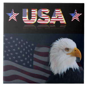 Verenigde Staten Tegeltje