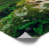 Verenigde Staten, Tennessee, Great Smoky Mountains Poster (Hoek)