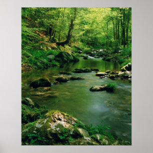 Verenigde Staten, Tennessee, Great Smoky Mountains Poster