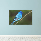 Verenigde Staten, Texas, South Padre Island Canvas Afdruk (Insitu (Houten vloer))