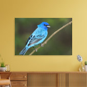 Verenigde Staten, Texas, South Padre Island Canvas Afdruk (Insitu (Woonkamer))