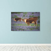 Verenigde Staten, Texas, Texas Hill Country, Heref Canvas Afdruk (Insitu (Houten vloer))