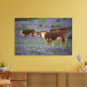 Verenigde Staten, Texas, Texas Hill Country, Heref Canvas Afdruk (Insitu (Woonkamer))