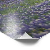 Verenigde Staten, Texas, Texas Hill Country, Heref Foto Afdruk (Hoek)