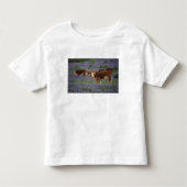 Verenigde Staten, Texas, Texas Hill Country, Heref Kinder Shirts (Voorkant)