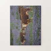 Verenigde Staten, Texas, Texas Hill Country, Heref Legpuzzel (Verticaal)
