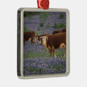Verenigde Staten, Texas, Texas Hill Country, Heref Metalen Ornament (Rechts)