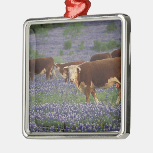 Verenigde Staten, Texas, Texas Hill Country, Heref Metalen Ornament (Links)