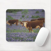 Verenigde Staten, Texas, Texas Hill Country, Heref Muismat (Met muis)