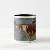 Verenigde Staten, Texas, Texas Hill Country, Heref Tweekleurige Koffiemok (Center)