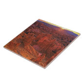 Verenigde Staten, Utah, Bryce Canyon National Park Tegeltje (Zijkant)