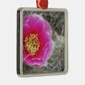 Verenigde Staten, Utah, Canyonlands NP, Duurzame P Metalen Ornament (Rechts)